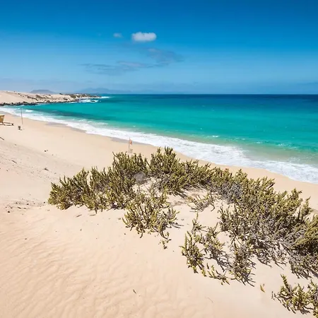 Home2book Casa Nora Comfy, Wifi Apartment Corralejo